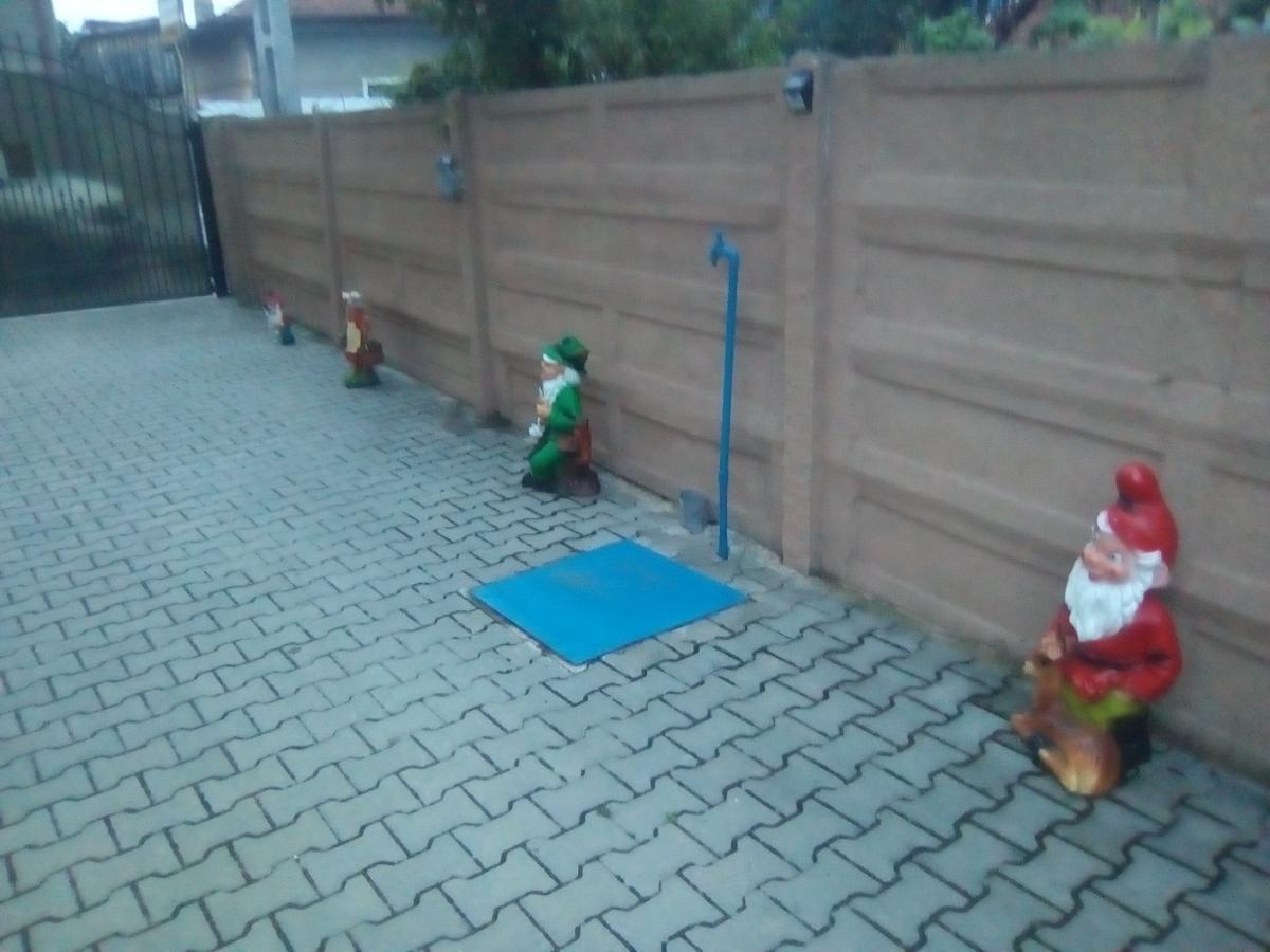 Casa Ovi Si Simo * Hateg