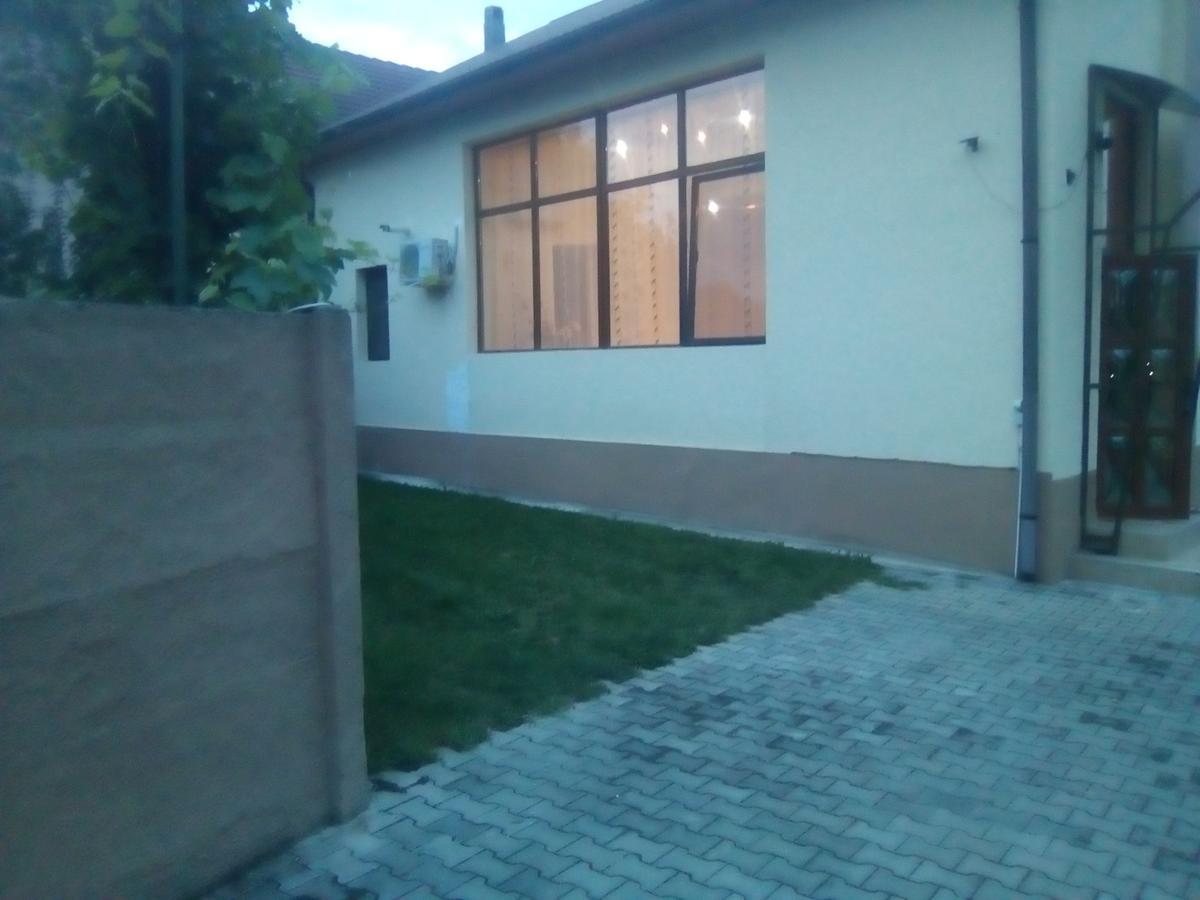 Guest house Casa Ovi Si Simo Hateg