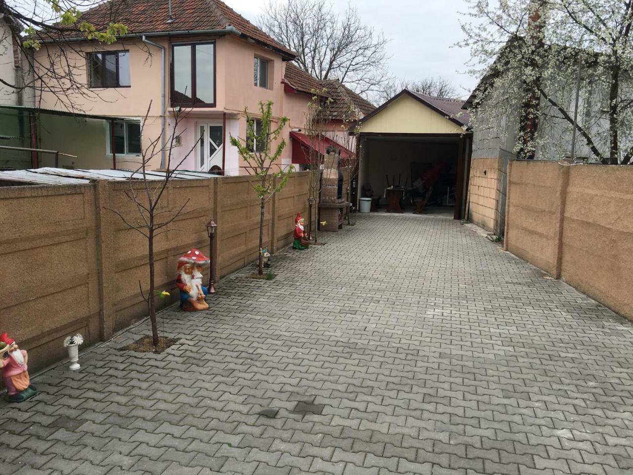 Casa Ovi Si Simo * Haţeg