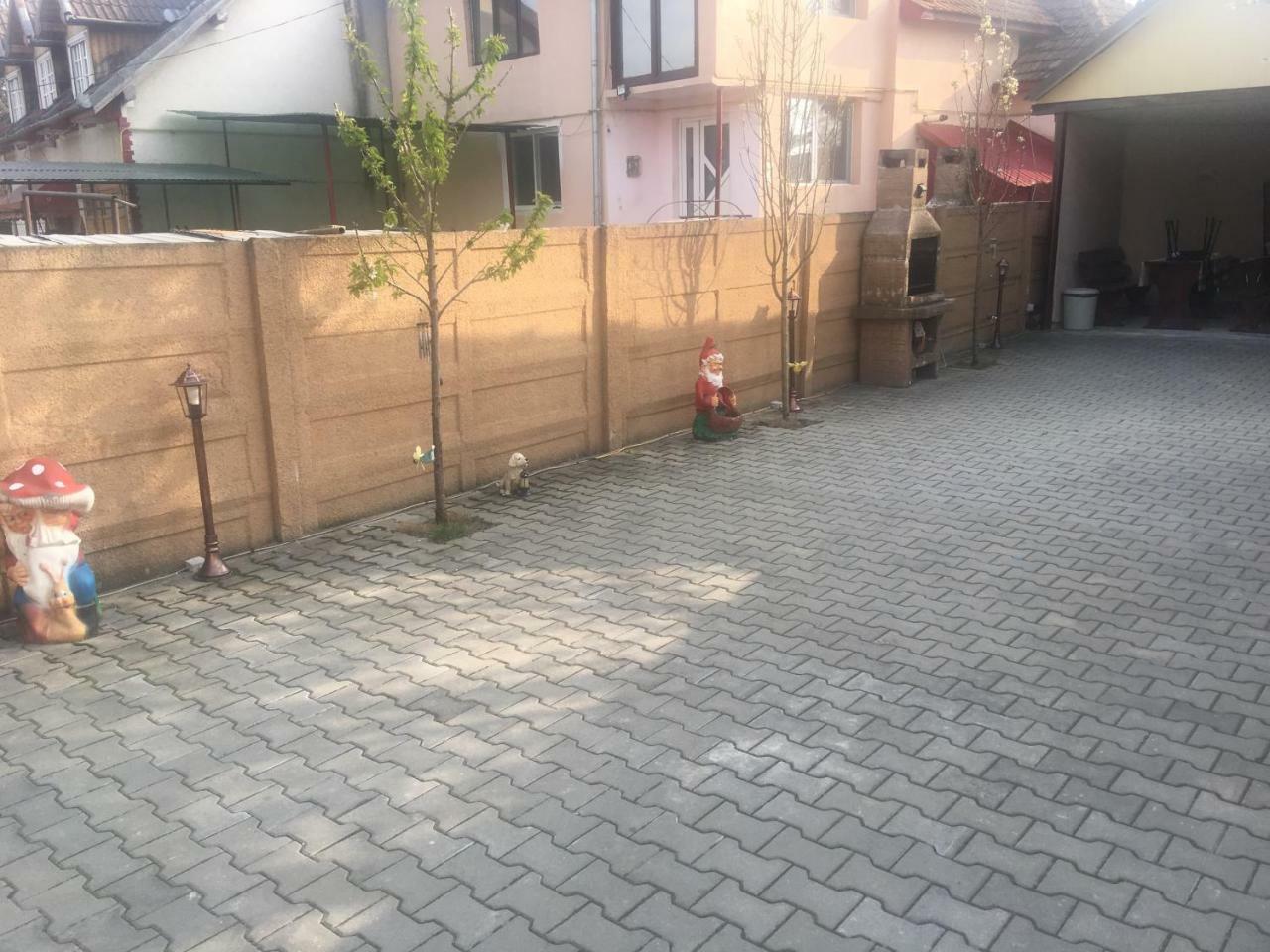 Affittacamere Casa Ovi Si Simo Haţeg