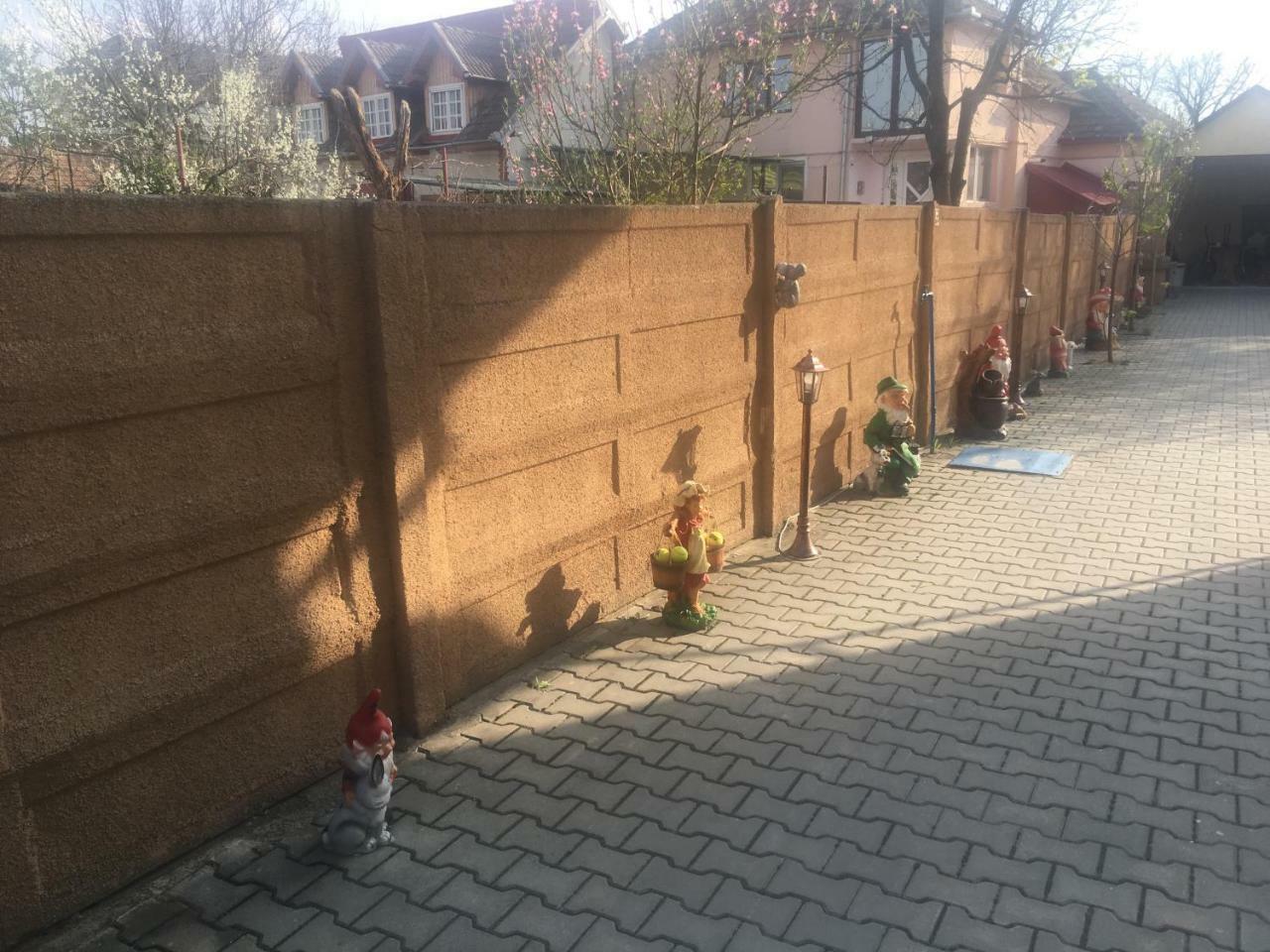 Casa Ovi Si Simo Haţeg